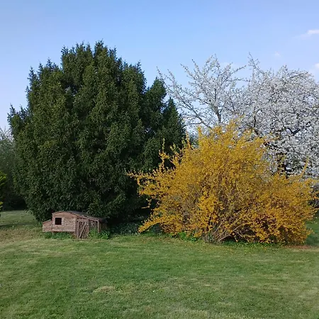 شقة Les Coquelicots